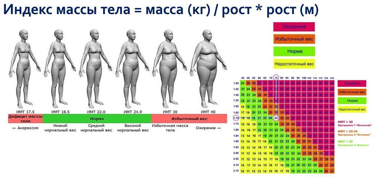 Вопрос дня: вес, который кажется лишним, — действительно лишний? — нож