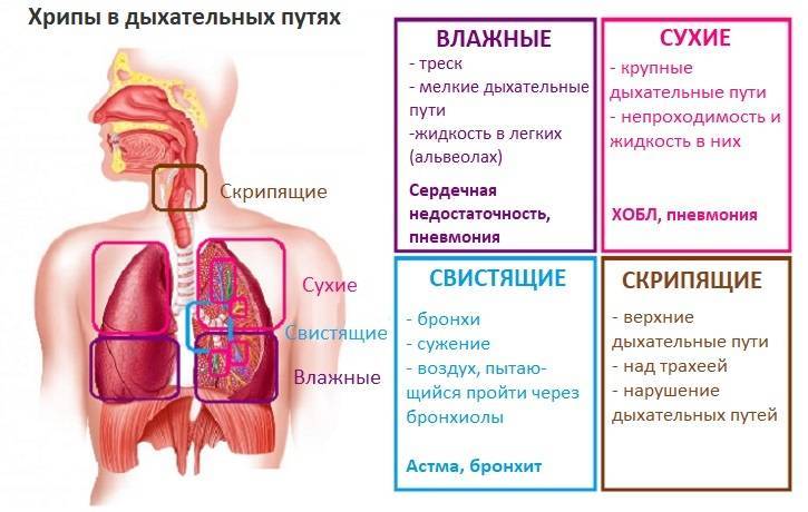 Саморегуляция дыхания: интересные практики | блог 4brain