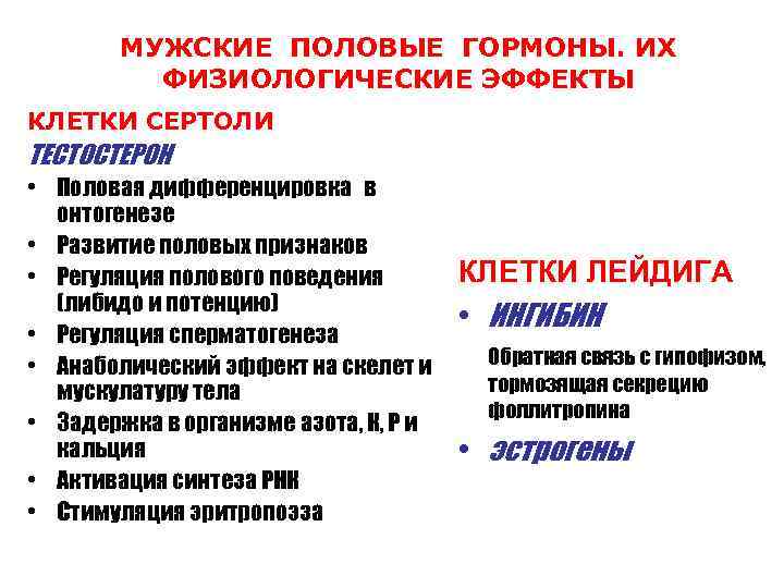 Половые гормоны: виды, действие, симптомы нарушений