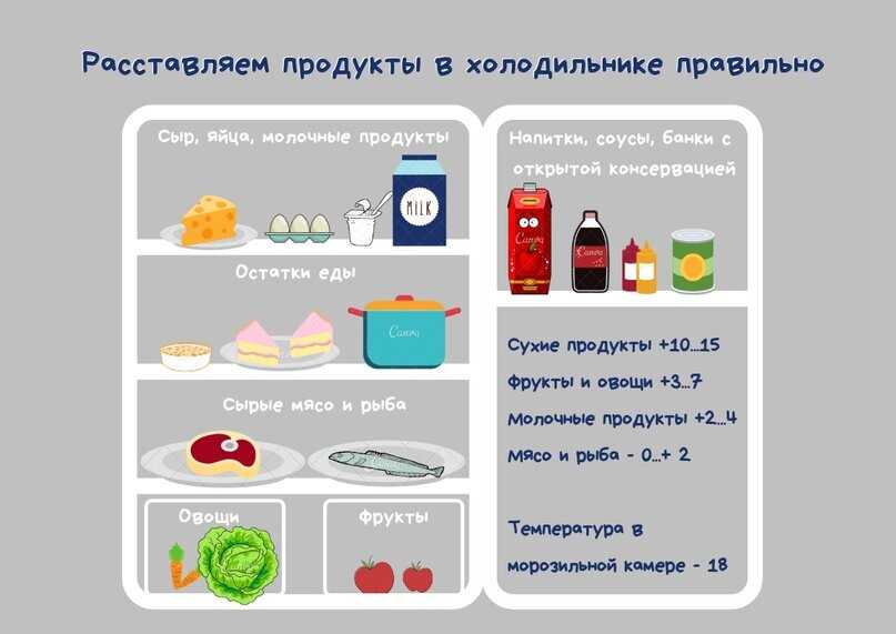Почему продукты питания хранят в холодильнике?