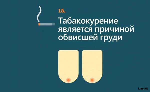 Интимные факты о сосках - gorabbit