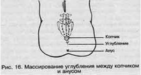 Точка а: что это такое, где находится у женщин, как стимулировать