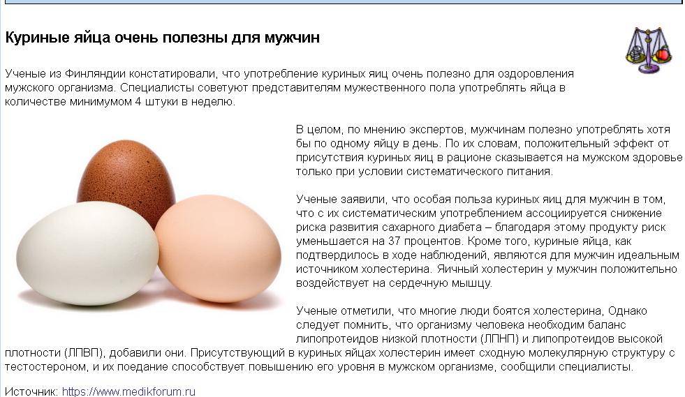 Сколько яиц можно есть в день – примерные количества