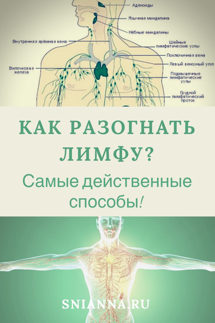Прокачка лимфосистемы: супер эффективные упражнения для разгона лимфы и избавления от отеков