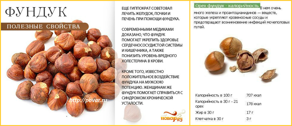 Грецкий орех: польза и вред для организма человека