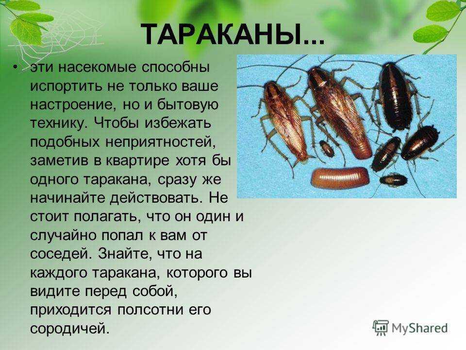 Как производить меньше мусора - wikihow