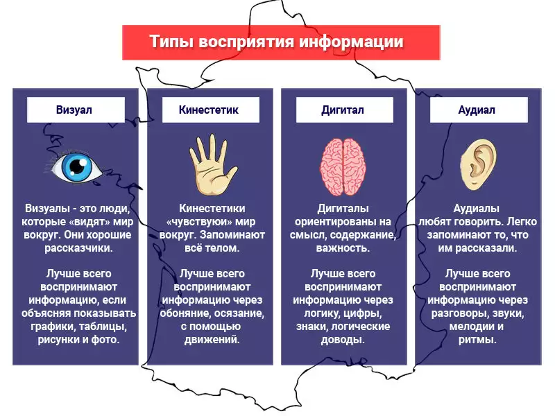 Аудиалов, визуалов и кинестетиков надо учить по-разному: правда или миф? / skillbox media