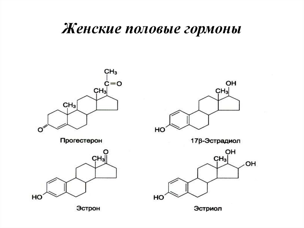 Важность гормонов в организме человека