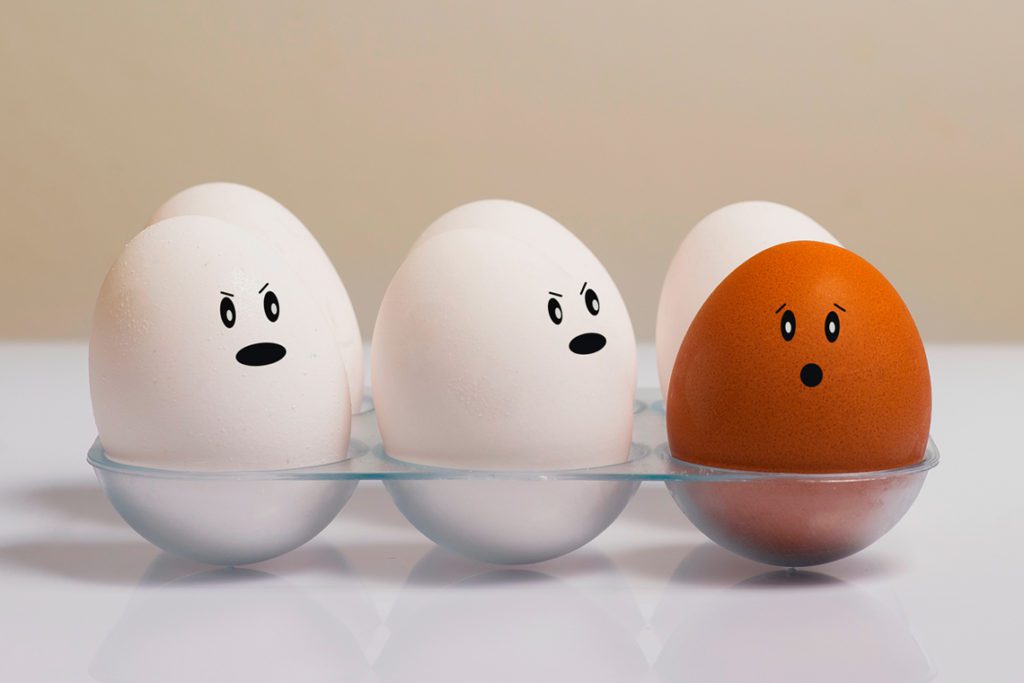 Почему яйца коричневые и белые: чем отличаются коричневые яйца от белых. и еще 9 фактов о яйцах