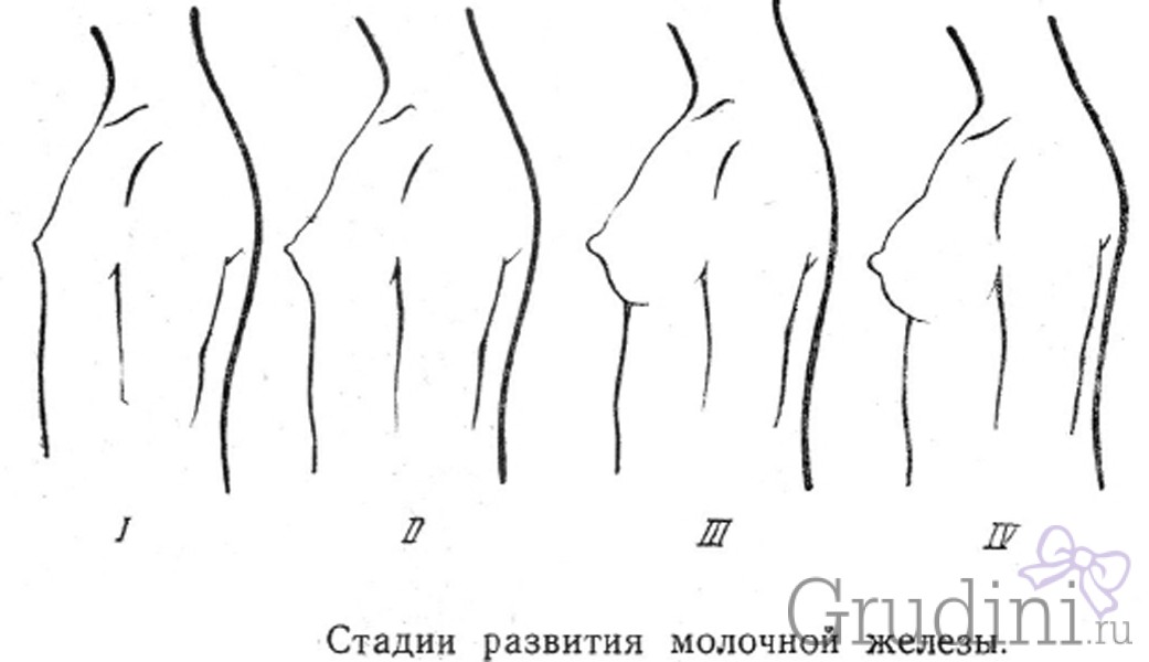 Инволюция молочных желез!