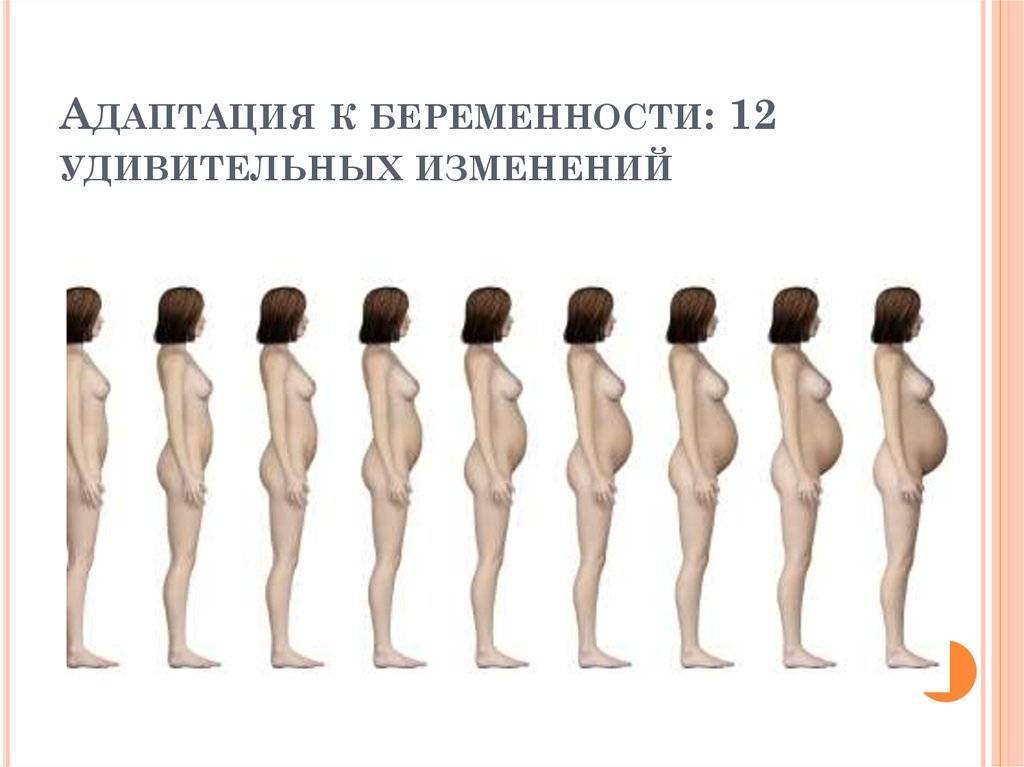 Как растет грудь (в каком возрасте)?