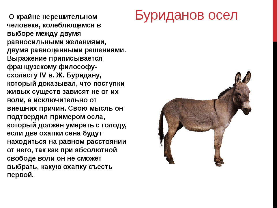 Как быстро научиться садиться на шпагат