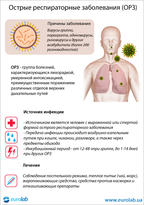 Осложнения после гриппа у взрослых: причины, симптомы, профилактика