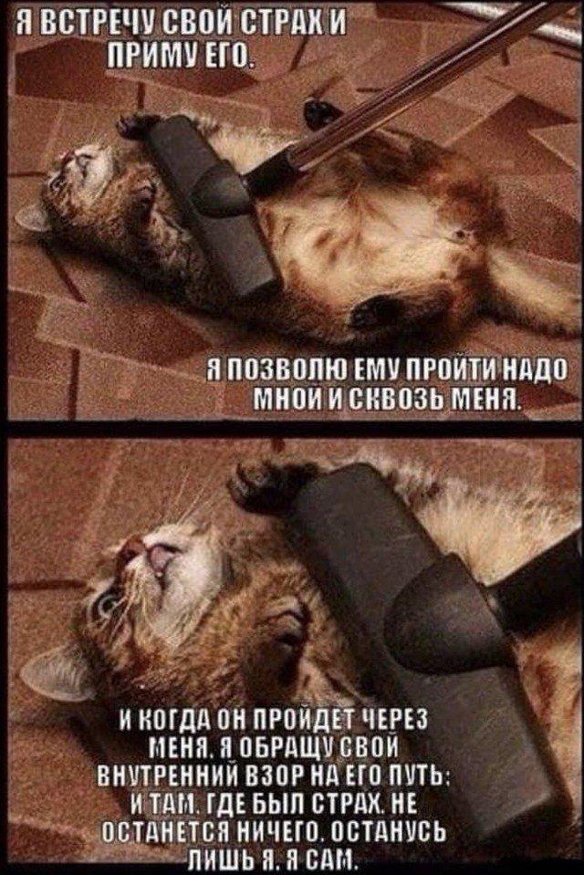 "я никогда не думала, что это может быть вич". реальные истории больных спидом.