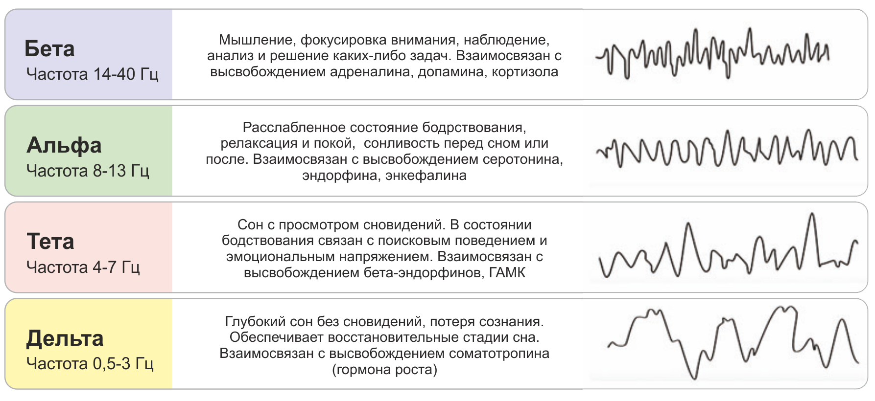 Нейрофизиология оргазма — нож