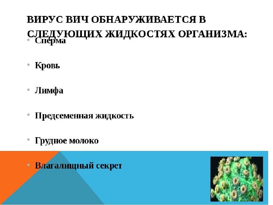 Можно ли забеременеть от предсеменной жидкости и смегмы