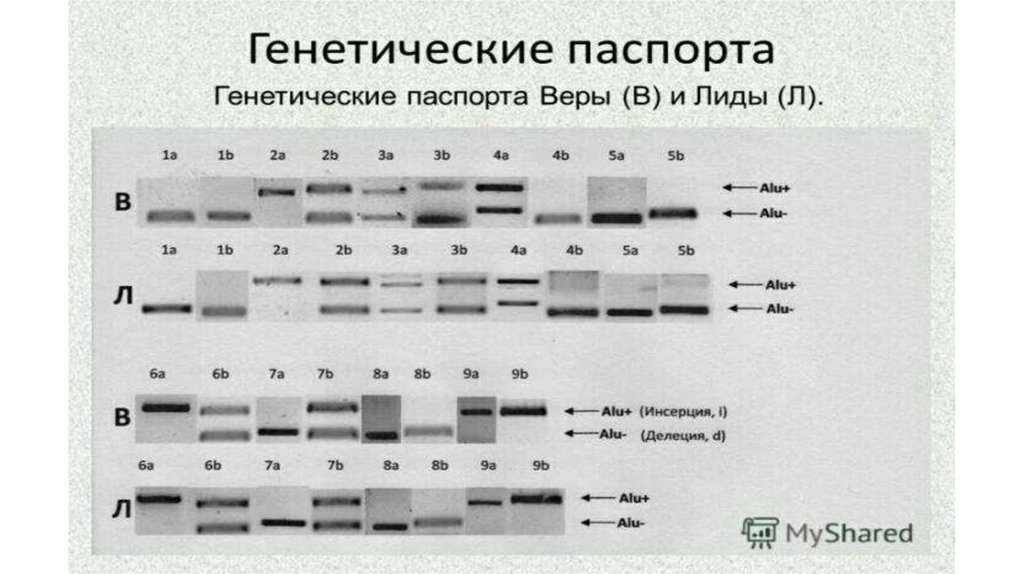 Генетический паспорт гражданина российской федерации, или хотите ли вы знать, когда умрёте?