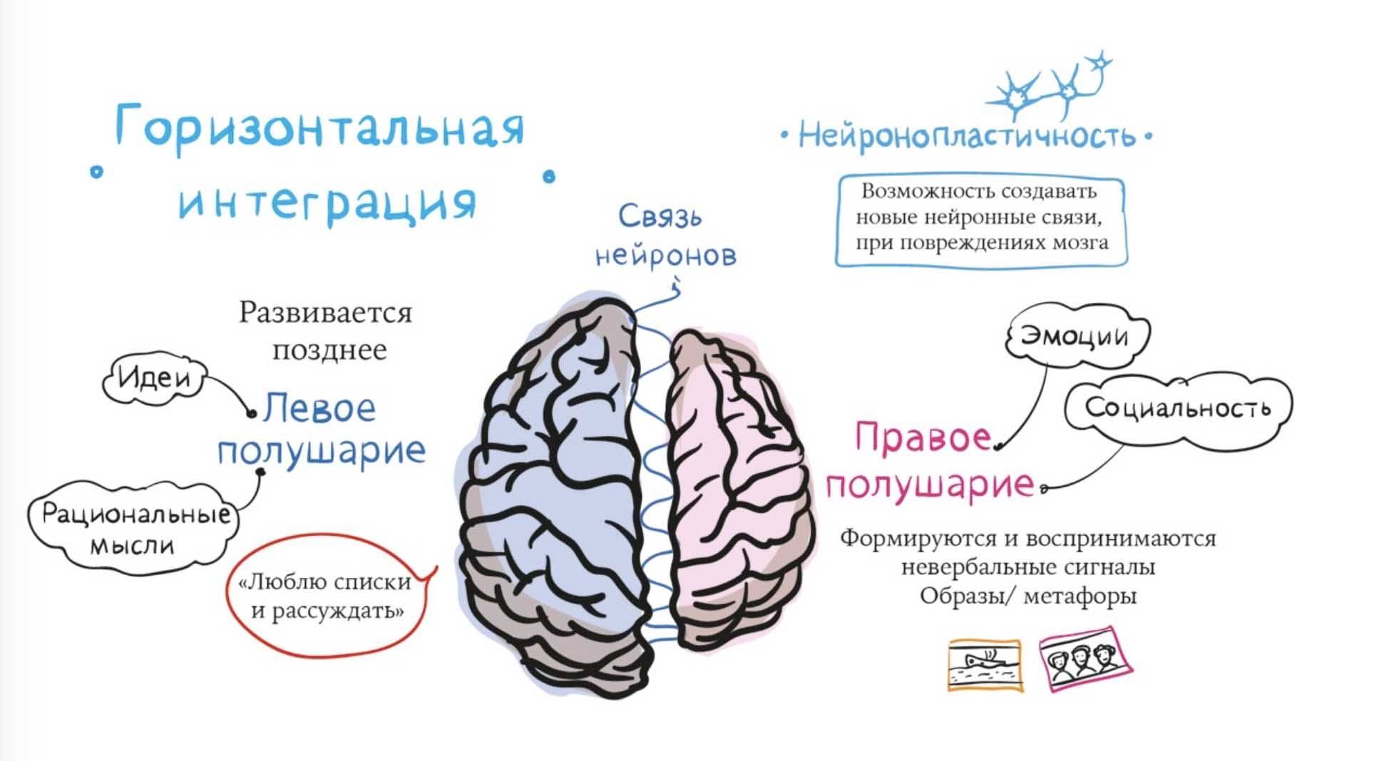 10 дней для перезагрузки жизни. программа от двух врачей - блог издательства «манн, иванов и фербер»
