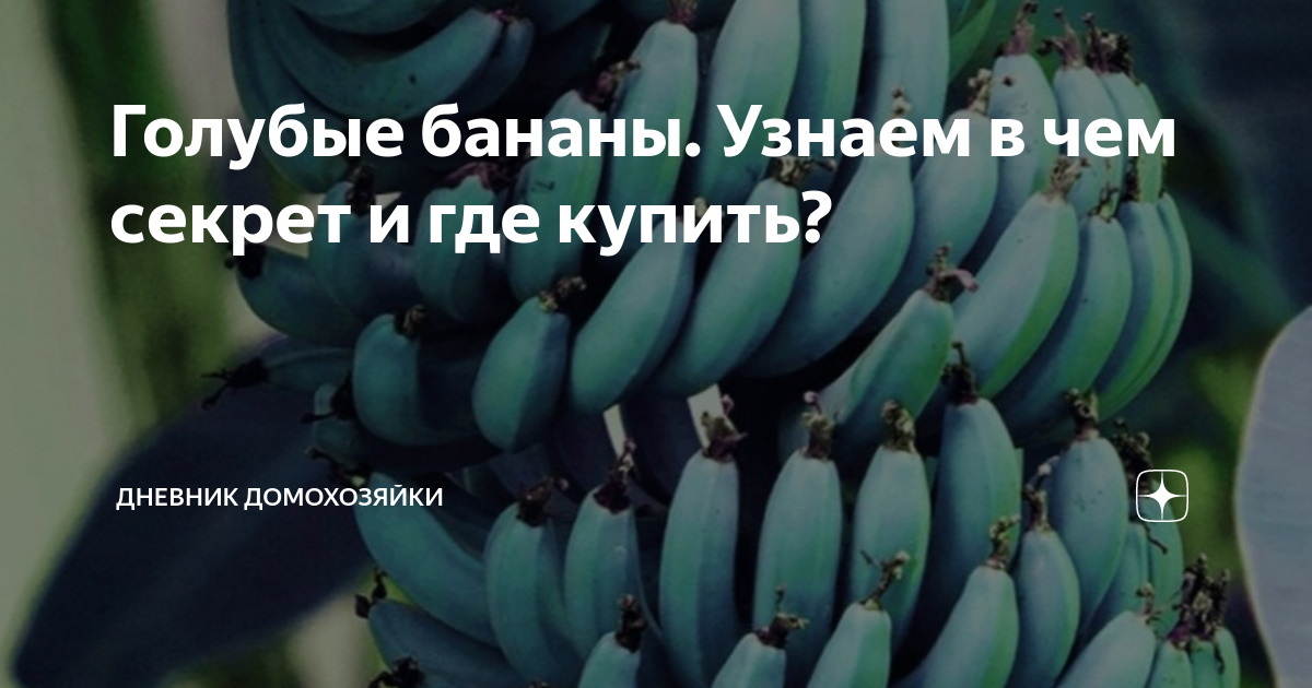 Можно ли есть зеленые бананы не дожидаясь их зрелости - hi-news.ru
