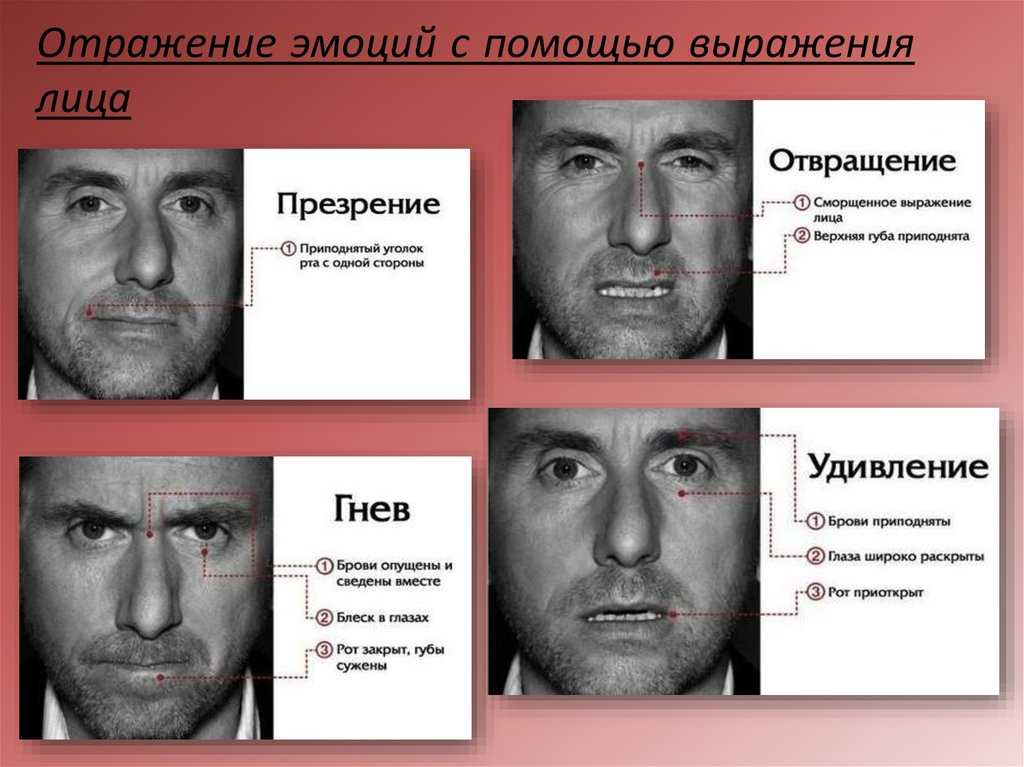Эмоции: модель роберта плутчика