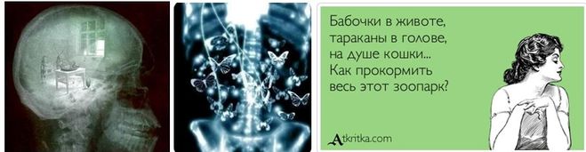 Как понять, что ты влюбился в девушку: 13 признаков бабочек в животе