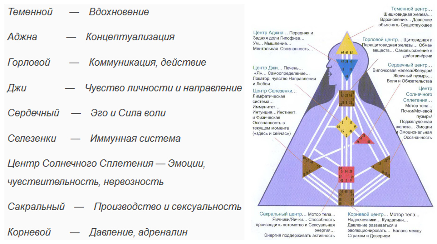 Спать вместе или раздельно? научные доводы.