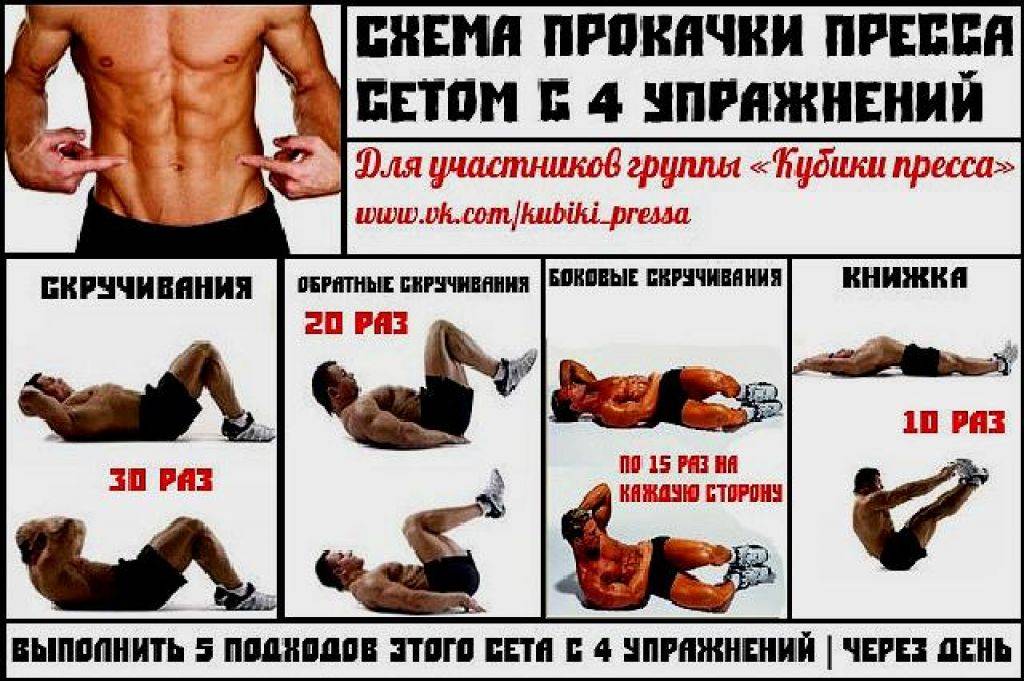 Программа тренировок на пресс в домашних условиях для девушек и мужчин