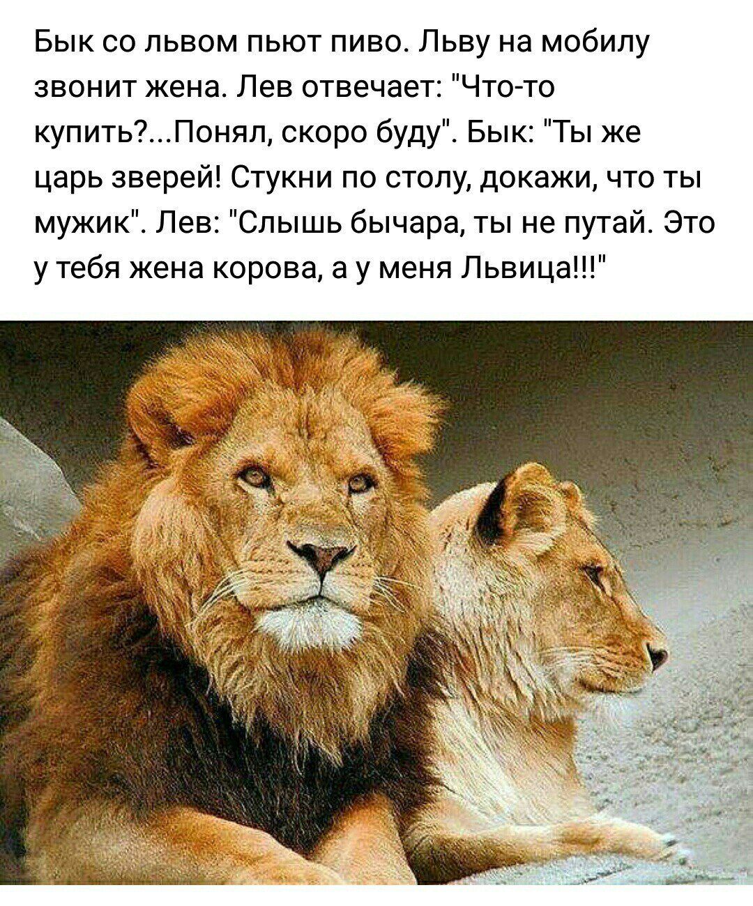 «автору удалось меня обмануть, и я благодарен ей за это». ислам ханипаев — о романе «лес» - новости - 66.ru