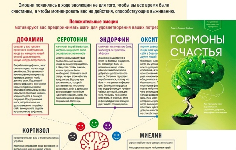Гормоны счастья и радости: серотонин, эндорфины | азбука здоровья