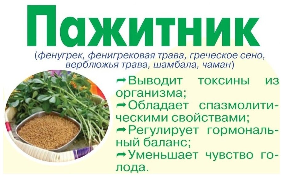 Всё о семенах пажитника: какими полезными свойствами обладают, почему помогают худеть, кому надо их употреблять, какие противопоказания имеются
