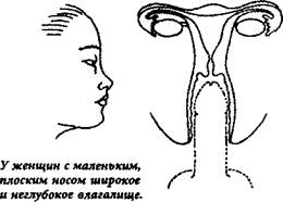 Знаете ли вы разницу между этими частями тела?