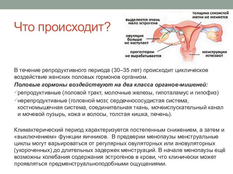 Какой размер у влагалища - ширина, глубина, как меняется