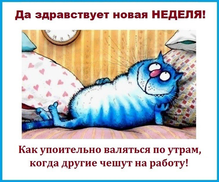 Как не надо проводить выходные :: гороскоп :: клео.ру