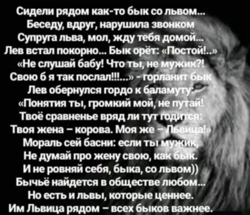 Публикации пользователя лидия раевская