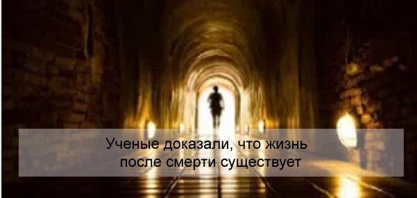 Некоторые ученые считают, что смерти не существует. но почему? - hi-news.ru
