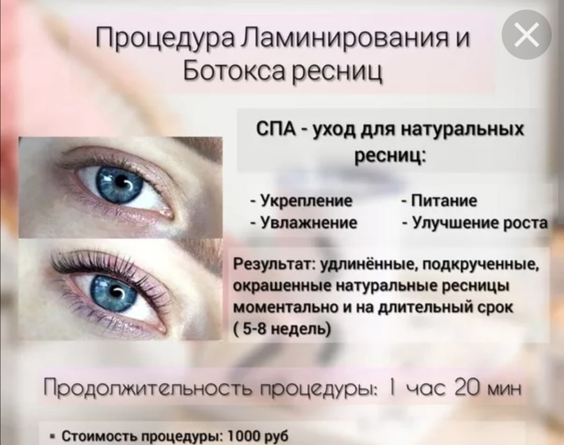 Ламинирование ресниц: преимущества и недостатки, технология