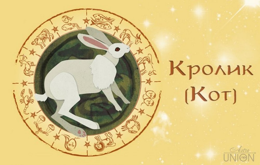 Металлический кролик ( кот ) ключевые черты знака китайского зодиака