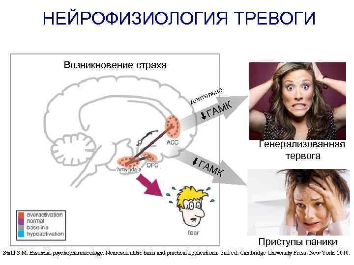 Как изменить себя за 10 дней с помощью слов: 4 задания из нейрофизиологии | 5 сфер
