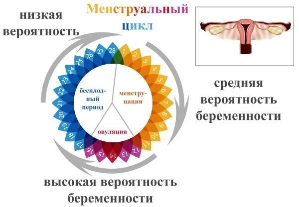 Беременная девственница - возможно ли такое