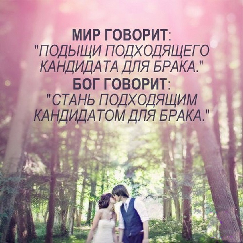 50+ красивых цитат невесты на особый день