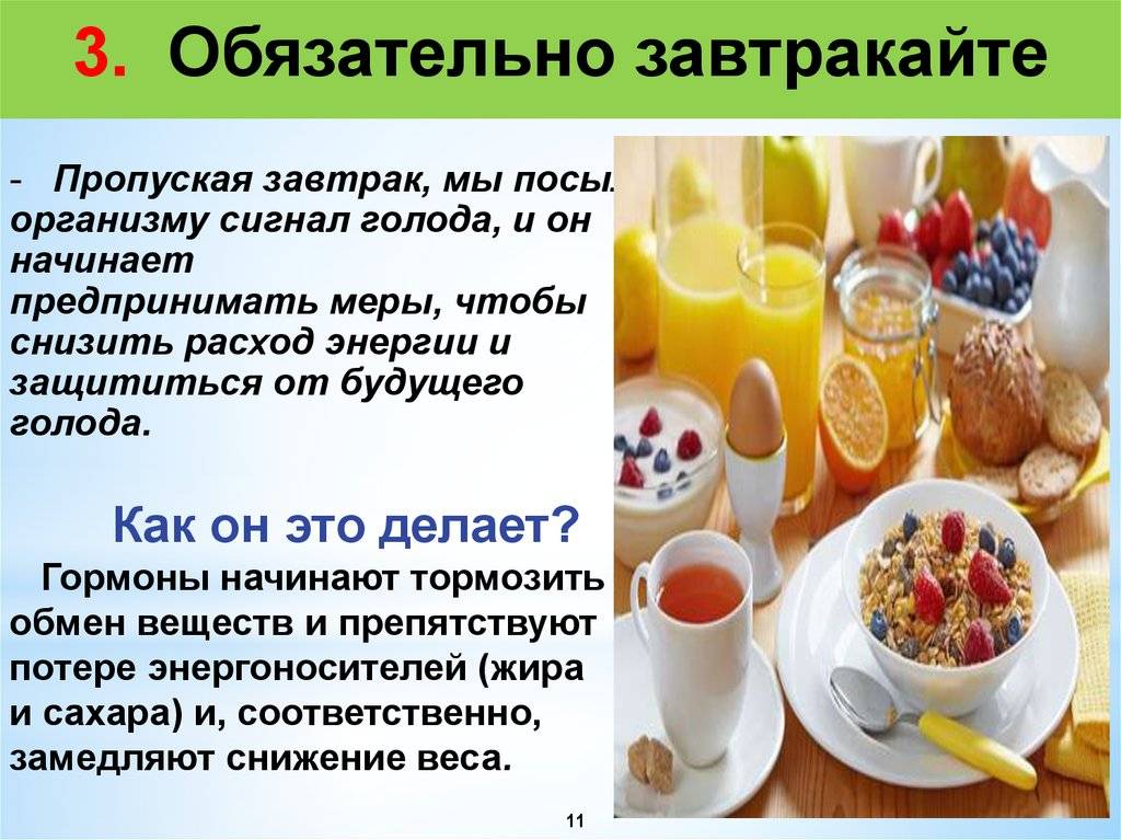 Как приучить себя к правильному питанию – 12 простых шагов