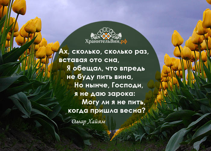 Как правильно начать разговор с парнем, который нравится: примеры диалогов