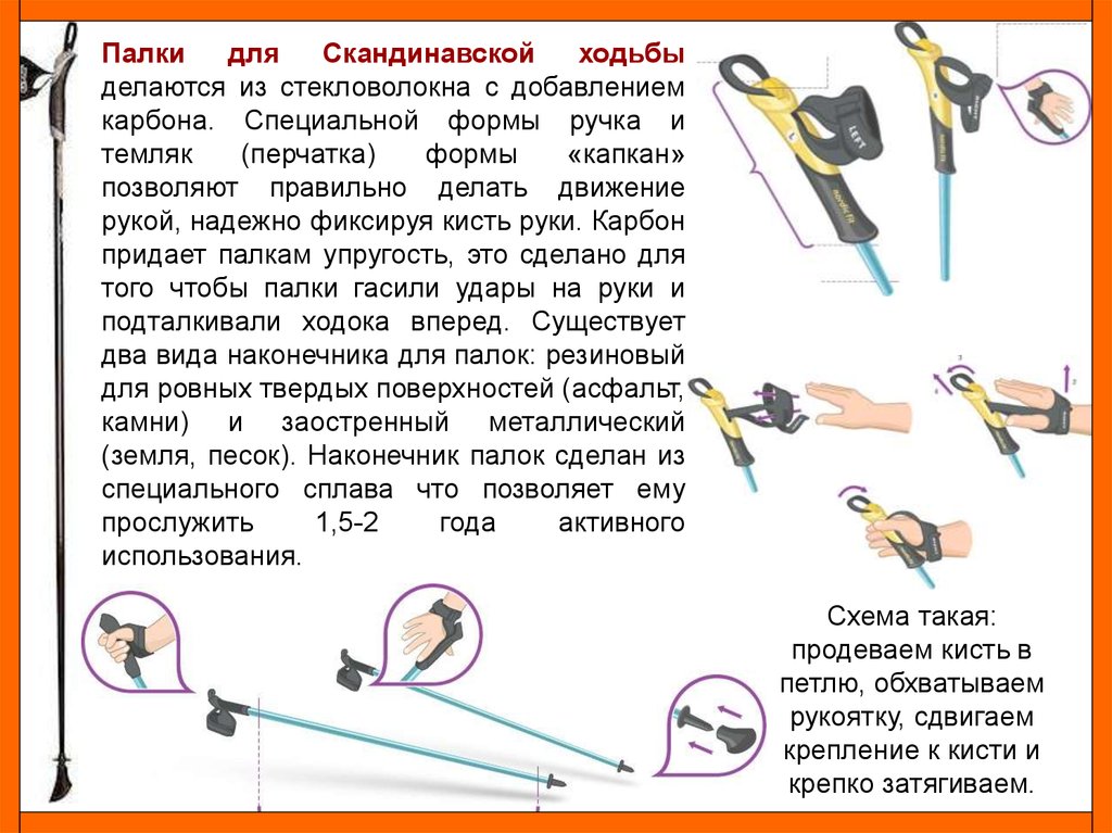 Как выбрать надежные палки для скандинавской ходьбы, советы новичкам