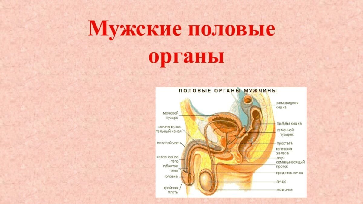 Как мужчине испытать женский оргазм: техника, советы, полезные упражнения | оргазм.онлайн