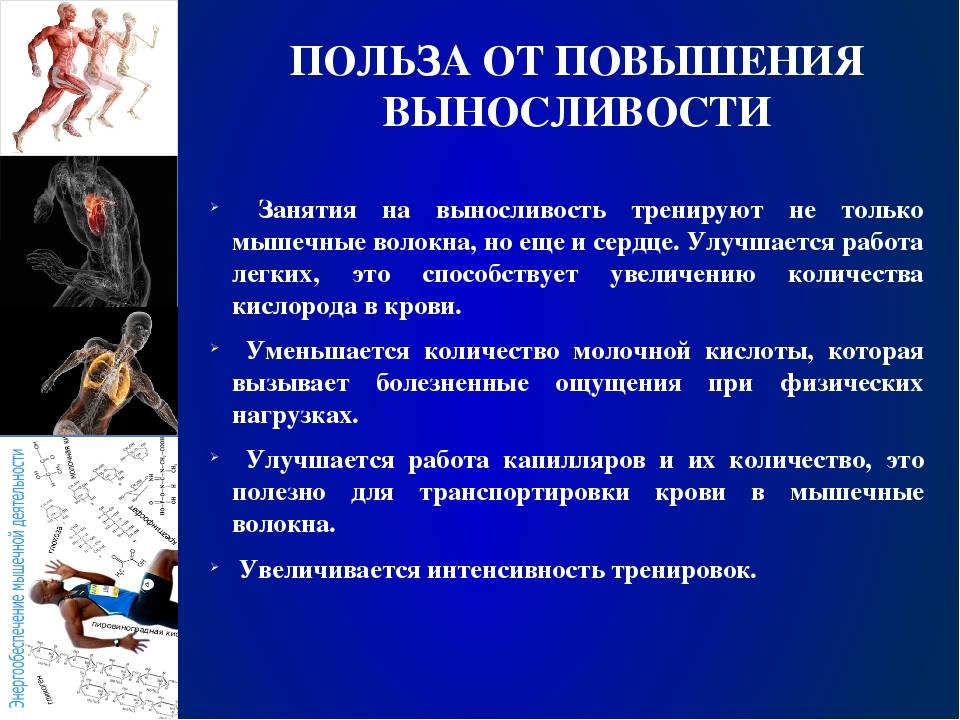 Упражнения на группы мышц: самые эффективные, техника выполнения - tony.ru